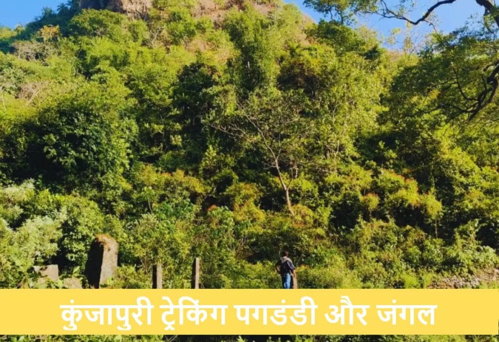 कुंजापुरी ट्रेक, ऋषिकेश: सूर्योदय, रोमांच और प्रकृति का जादू 3 कुंजापुरी ट्रेकिंग पगडंडी और जंगल