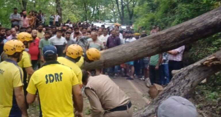 मुनिकीरेती में अचानक गिरा भारी पेड़, एक घंटे जाम में फंसे वाहन