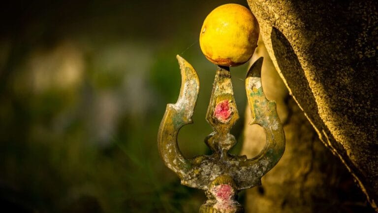 नवरात्रि 2025 व्रत नियम: जानिए नवरात्रि के दौरान नींबू क्यों नहीं खाया जाता