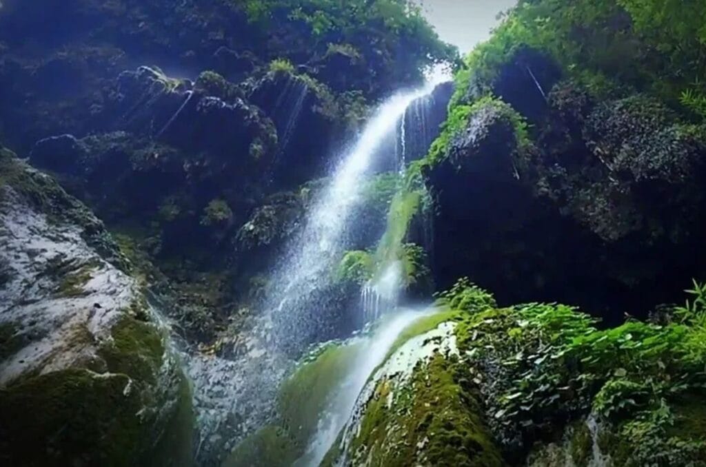 Patna Waterfall Rishikesh surrounded by lush forest