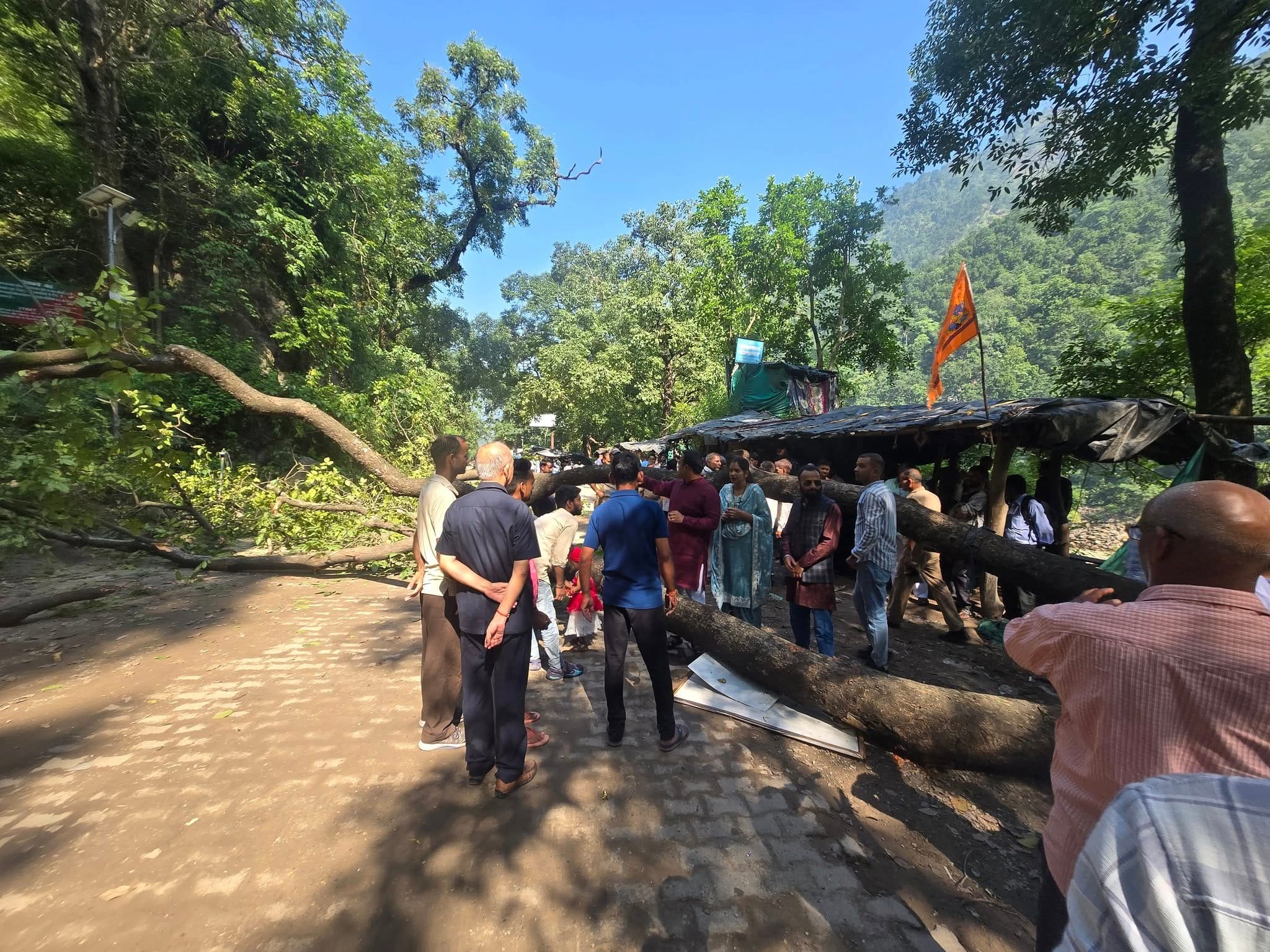 पटना वाटरफॉल के पास पेड़ गिरने से सड़क अवरुद्ध, एक युवक घायल 1 पटना वाटरफॉल के पास पेड़ गिरने से सड़क बंद, युवक घायल | Patna Waterfall News