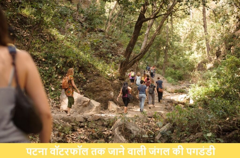 पटना वॉटरफॉल, ऋषिकेश: प्रकृति, रोमांच और स्वाद का संगम 3 पटना वॉटरफॉल तक जाने वाली जंगल की पगडंडी