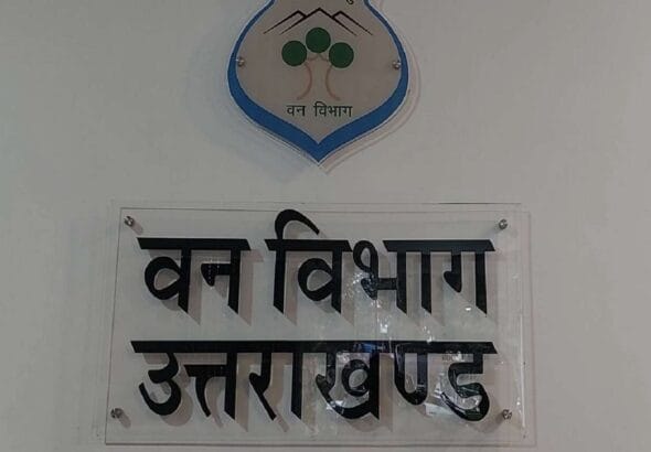 मसूरी वन प्रभाग में बड़ा घोटाला? 7375 सीमा स्तंभ गायब