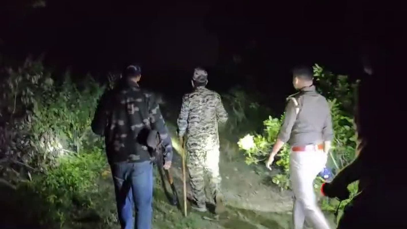 यमकेश्वर: जुड्डा गांव में भालू के हमले में घायल महिला को एम्स से छुट्टी, वन विभाग की गश्त जारी