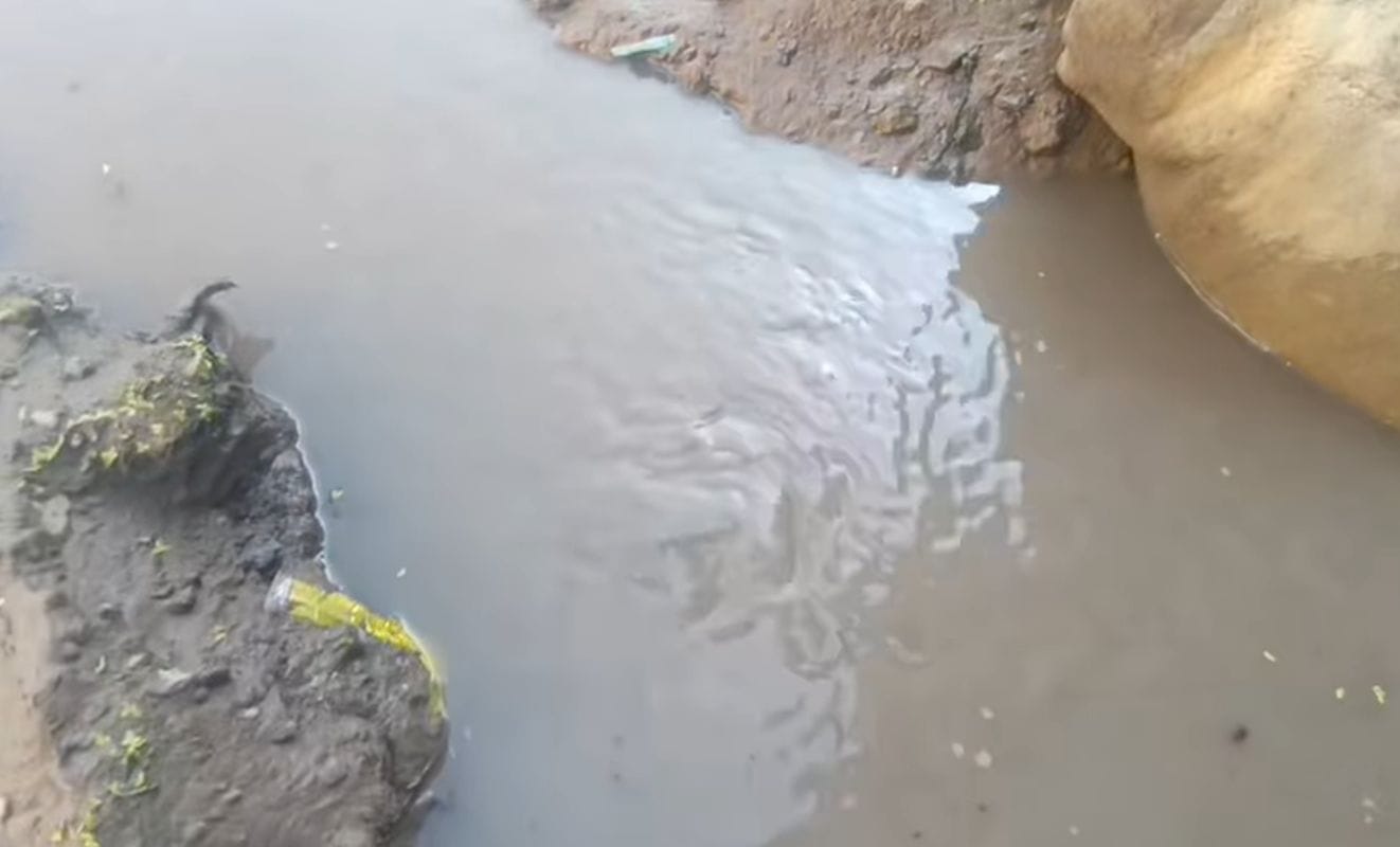 मंसा देवी वार्ड में भूमिगत जलभराव से जनजीवन बेहाल