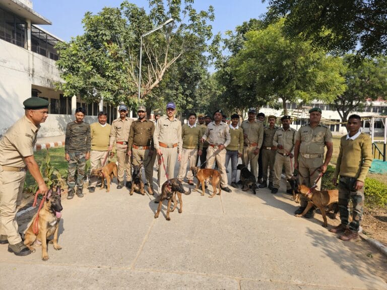 स्नीफर डॉग्स