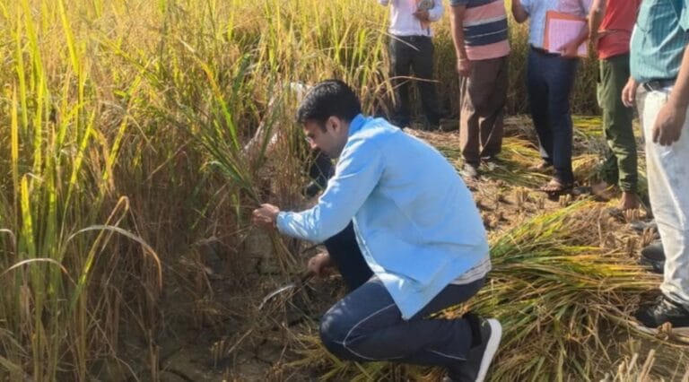 देहरादून: डीएम सविन बंसल ने आर्केडियाग्रांट में धान की फसल काटी, कटाई प्रयोग का किया निरीक्षण 9 डीएम सविन बंसल