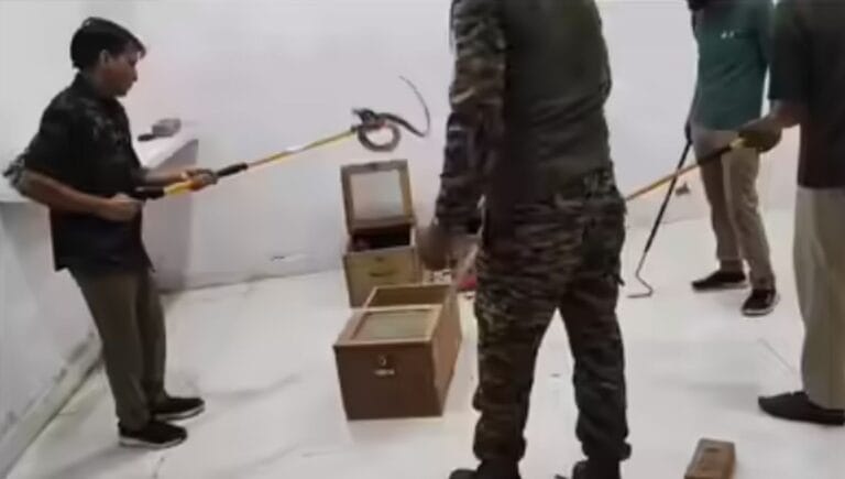 हरिद्वार: अवैध वेनम सेंटर संचालक फरार, वन विभाग ने पुलिस को जांच सौंपने पर विचार किया