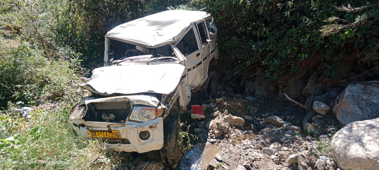 नारायणबगड़ ब्लॉक में हादसा, बोलेरो खाई में गिरने से एक युवक की मौत, दो गंभीर