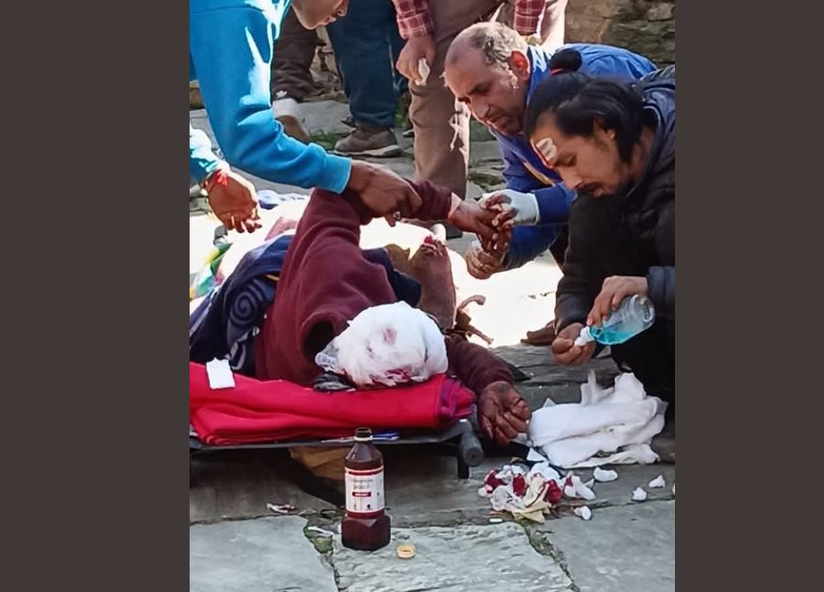 धारचूला में भालुओं का हमला