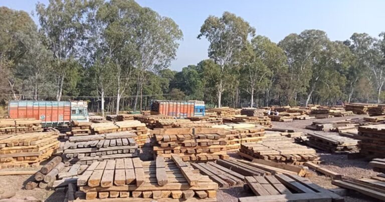 कालाढूंगी डिपो में फर्जी रवन्ना घोटाला? आठ लाख रुपये की लकड़ी पकड़ी गई