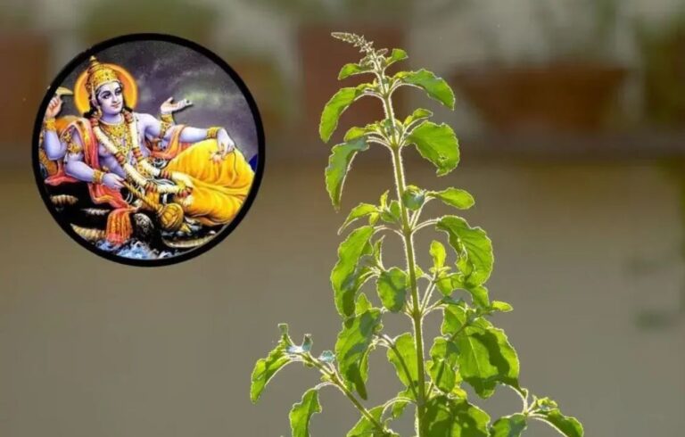 मोक्षदा एकादशी 2025: जानें व्रत की तिथि, भद्रा–पंचक संयोग और तुलसी से जुड़े नियम 9 मोक्षदा एकादशी 2025, गीता जयंती, हिन्दू पंचांग, तुलसी पूजा, धार्मिक नियम, आध्यात्मिक समाचार