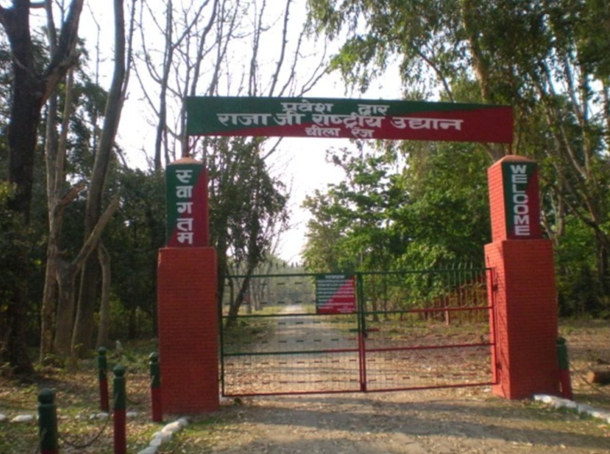 राजाजी टाइगर रिजर्व