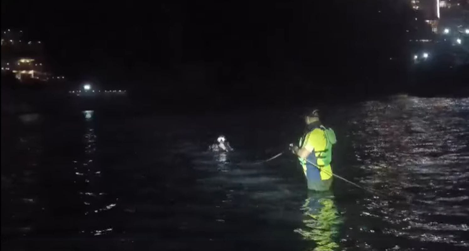 ऋषिकेश में गंगा स्नान के दौरान चंडीगढ़ का छात्र बहा, SDRF का सर्च अभियान जारी 1 मस्तराम घाट पर दर्दनाक हादसा, गंगा की तेज धारा में बहा 20 वर्षीय छात्र