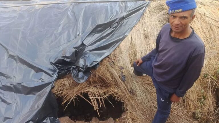 जोशीमठ के थेंग गांव में भालू का आतंक | गौशाला फाड़कर बकरियां मारी