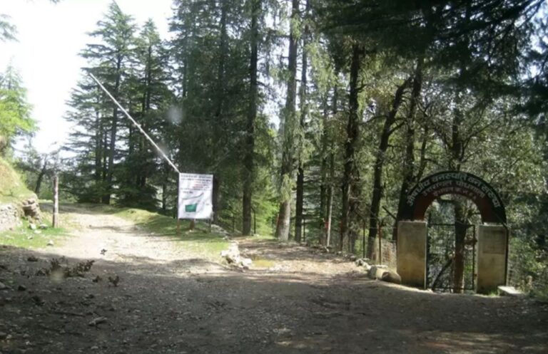 चकराता, देववन, व्यास शिखर, उत्तराखंड पर्यटन, प्रकृति, बुग्याल, हिमालय