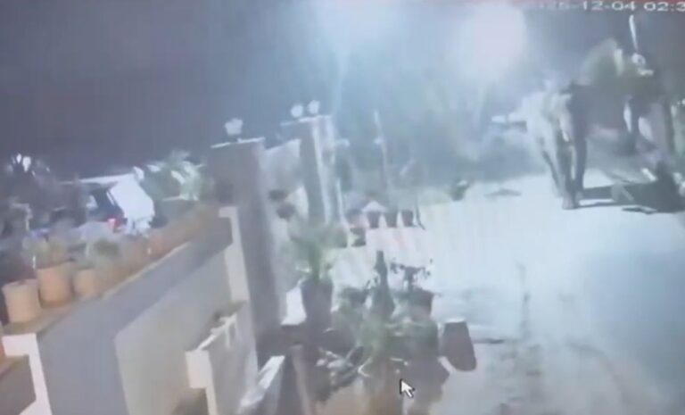 देहरादून समाचार, डोईवाला, हाथी का झुंड, गुलदार, मानव वन्यजीव संघर्ष, वन विभाग