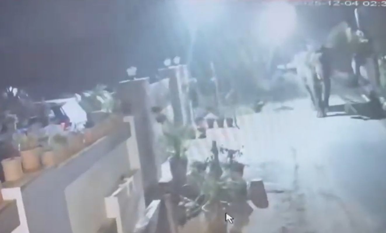 देहरादून समाचार, डोईवाला, हाथी का झुंड, गुलदार, मानव वन्यजीव संघर्ष, वन विभाग