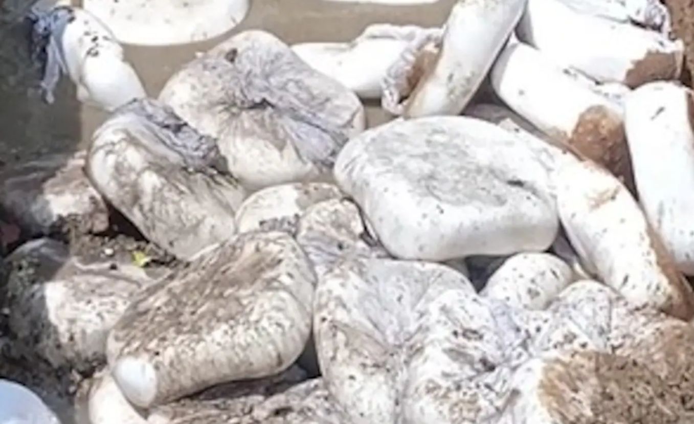 खाद्य सुरक्षा मामले में अदालत का फैसला, डेयरी संचालक पर एक लाख का दंड 1 पनीर में मिलावट