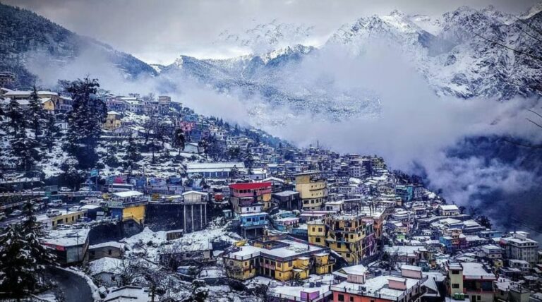 जोशीमठ धंसाव, वाडिया इंस्टीट्यूट अध्ययन