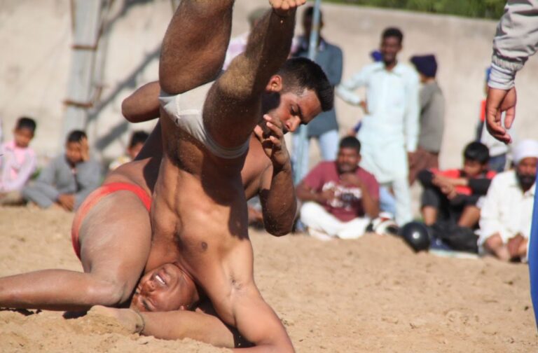 कुश्ती दंगल