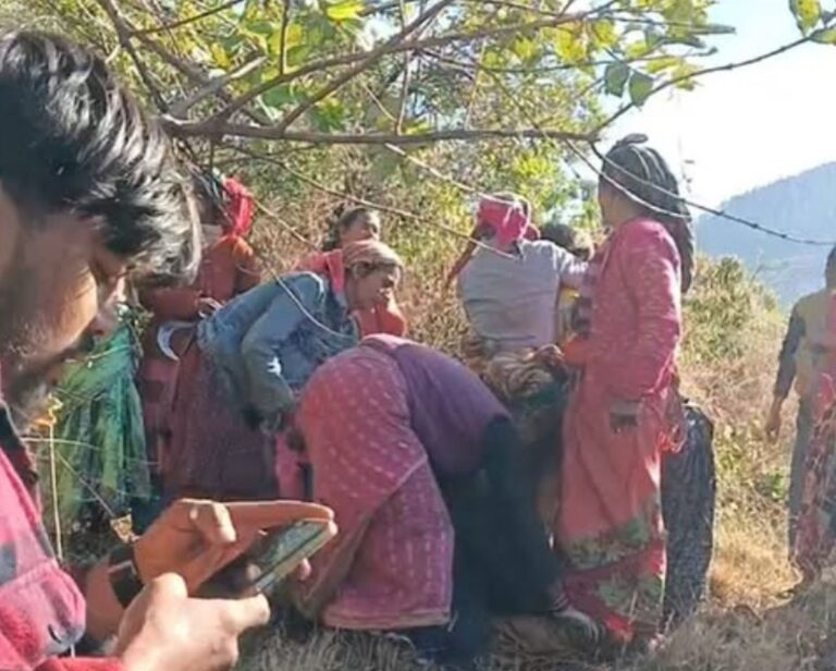 चमोली के लांजी गांव में भालू और गुलदार का दोहरा आतंक