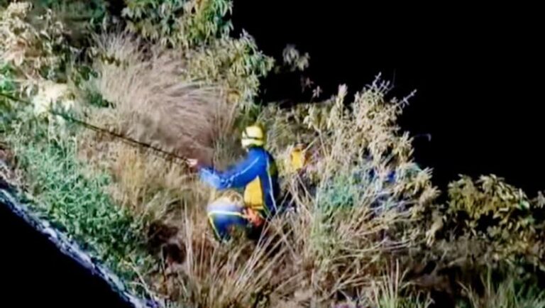 अगस्त्यमुनि: मोबाइल पर बात करते युवक की 50 मीटर गहरी खाई में गिरने की घटना, SDRF ने बचाई जान 11 अगस्त्यमुनि