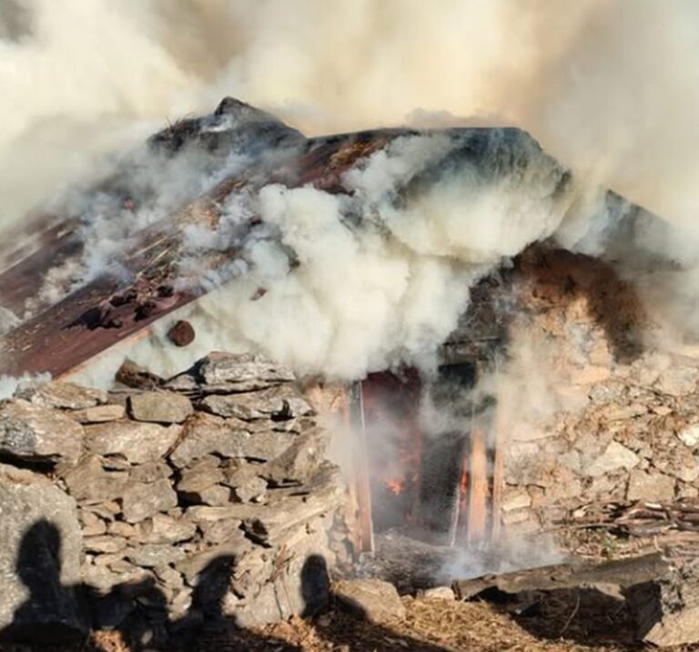 उत्तरकाशी सिल्ला गांव में आग | छह पशुओं की मौत