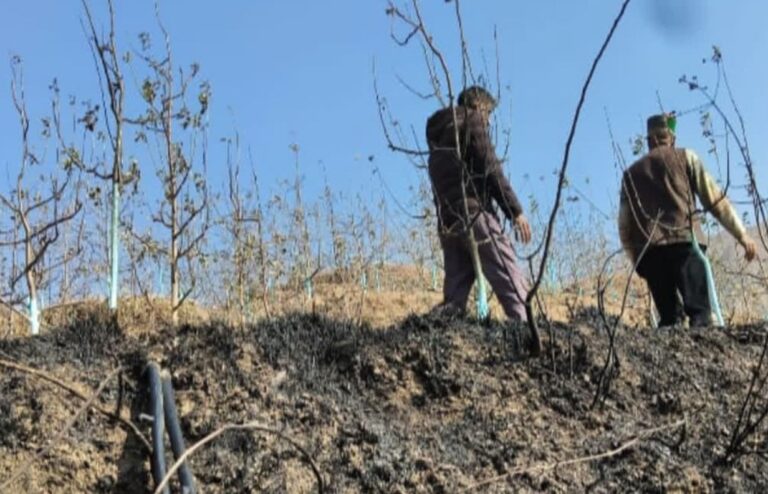 जौनसार के अस्टाड़ गांव में सेब के बगीचे में भीषण आग, 300 पेड़ों को नुकसान 4 जौनसार के अस्टाड़ गांव में सेब बगीचे में आग, 300 पेड़ों को नुकसान