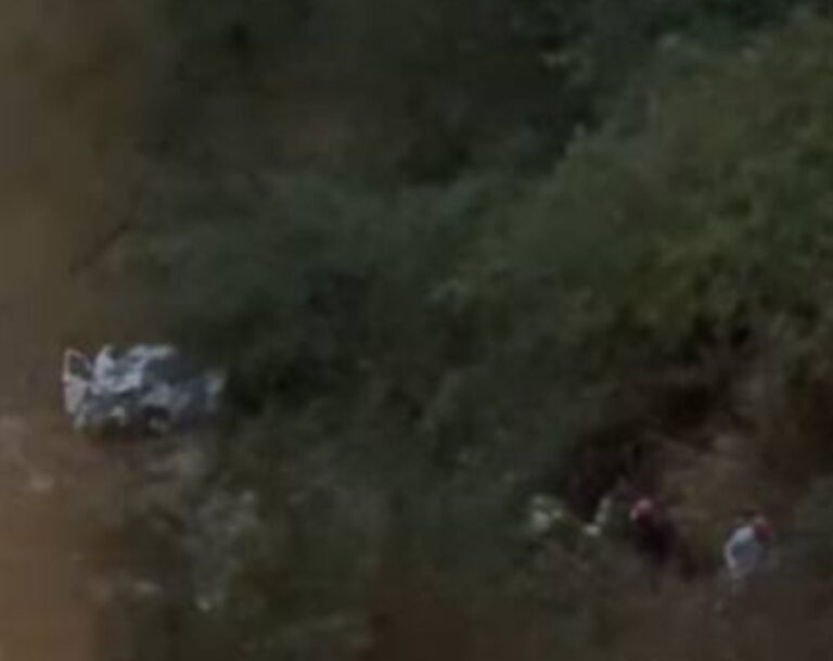 नारायणबगड़–कौब मार्ग पर सगाई से लौटते समय अल्टो कार दुर्घटनाग्रस्त, एक की मौत 12 चमोली लेगुना में भीषण सड़क हादसा | खाई में गिरी कार | Latest Update