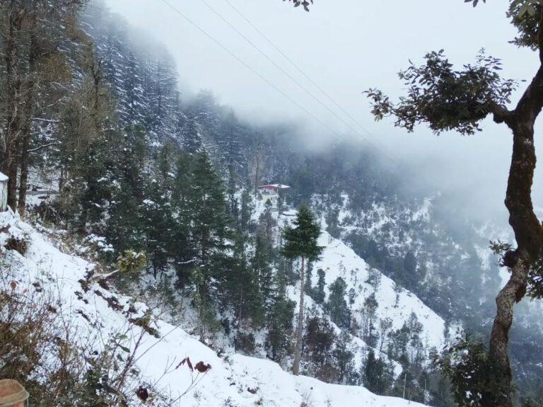 धनौल्टी में सीजन की दूसरी बर्फबारी, उत्तराखंड में ठंड और कोहरे का अलर्ट 4 धनौल्टी में सीजन की दूसरी बर्फबारी | उत्तराखंड मौसम अलर्ट