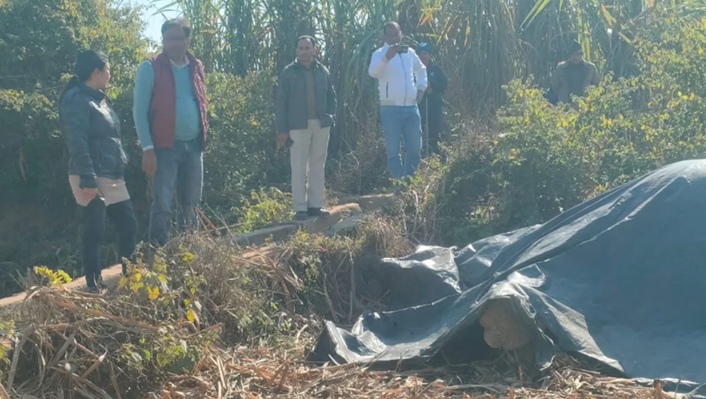 तिमली रेंज में हाथी की संदिग्ध मौत | वन विभाग की जांच जारी