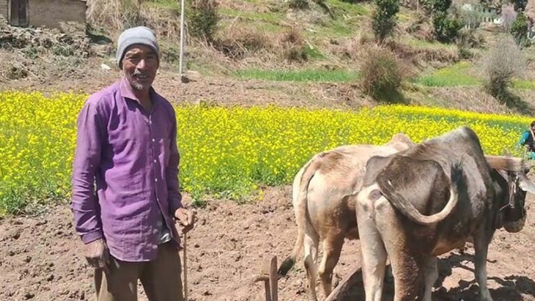 केंद्रीय बजट से उत्तराखंड के किसानों को बड़ी राहत, केसीसी ऋण सीमा 5 लाख 8 केंद्रीय बजट से उत्तराखंड के किसानों को क्या फायदा?