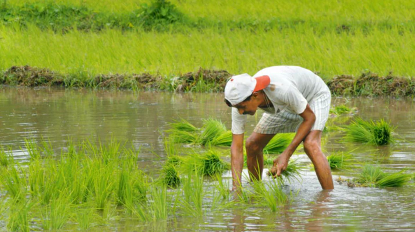 हर गांव में बनेगी फार्मर रजिस्ट्री | किसानों को मिलेगी यूनिक आईडी | बड़ा फैसला