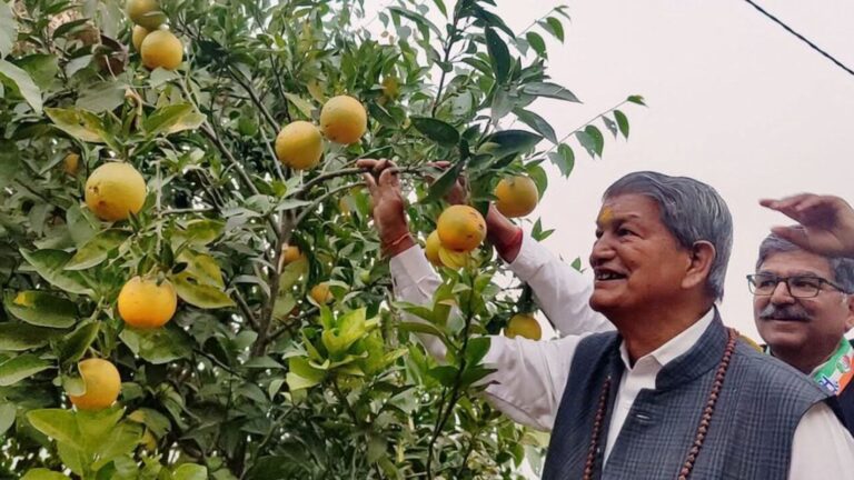 फलों के समर्थन मूल्य पर हरीश रावत का सरकार पर तंज, माल्टा ₹10 और नींबू ₹7 को बताया नाकाफी 6 माल्टा–नींबू के दामों पर हरीश रावत का हमला | किसानों की लागत भी नहीं निकलती