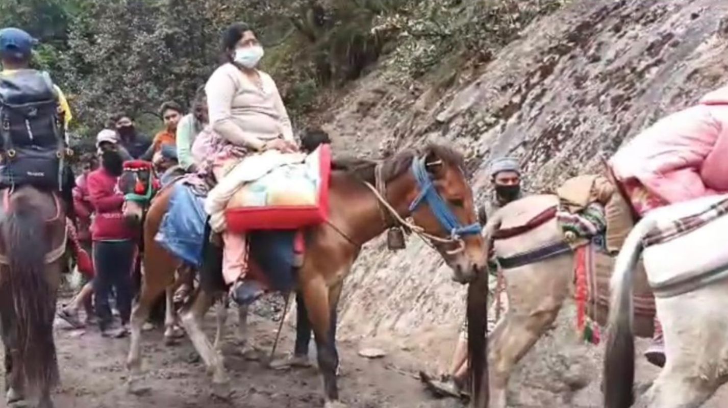 केदारनाथ यात्रा में पर्यावरण संरक्षण: लीद और पिरुल से तैयार होंगे ईको-फ्रेंडली पैलेट