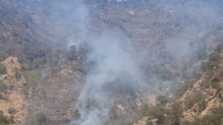 केदारघाटी के जंगलों में भीषण आग | वन्यजीवों पर मंडराया खतरा