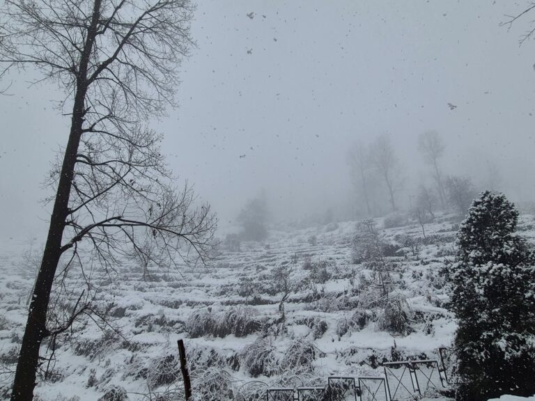 पिथौरागढ़ में भारी बर्फबारी, कुटी से आगे आदि कैलाश मार्ग बंद 1 पिथौरागढ़ में भारी बर्फबारी | कुटी से आगे आदि कैलाश मार्ग बंद