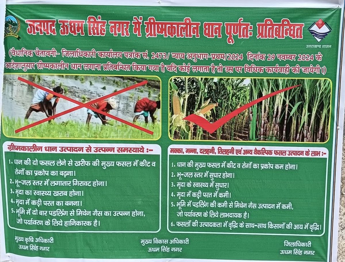 उधम सिंह नगर में बेमौसमी धान पर रोक | किसानों पर क्या असर पड़ेगा?