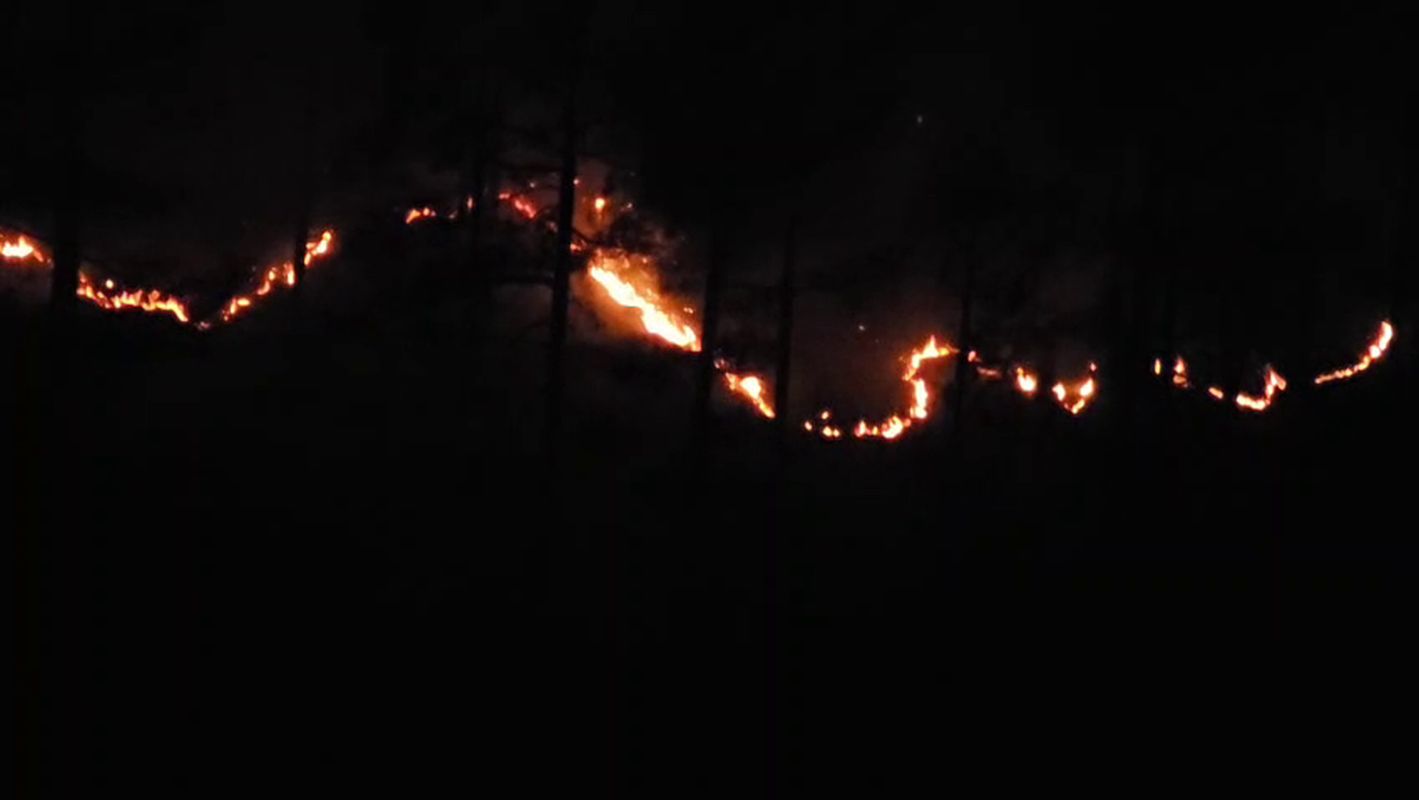 उत्तराखंड में फॉरेस्ट फायर सीजन की तैयारी, 15 फरवरी से अलर्ट