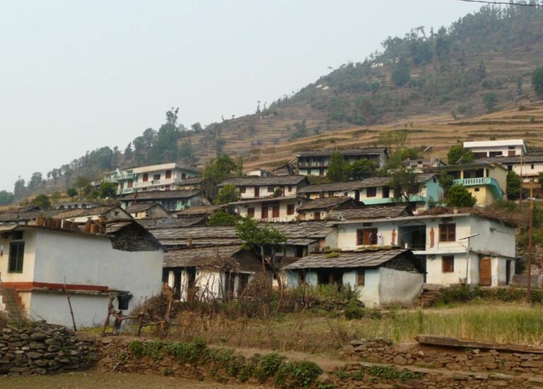 भालू के डर से खाली हुआ बस्तांग गांव | वन विभाग अलर्ट, सर्च ऑपरेशन