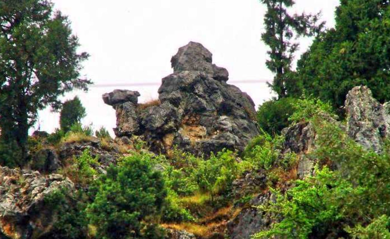 मसूरी की कैमल बैक रोड का होगा कायाकल्प | तीन करोड़ की परियोजना