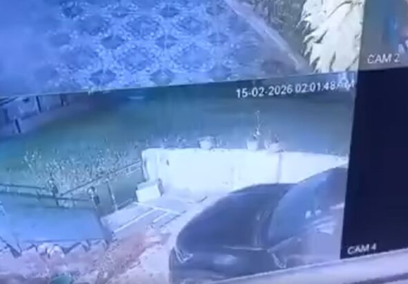 ऋषिकेश छिद्दरवाला में गुलदार की दहशत