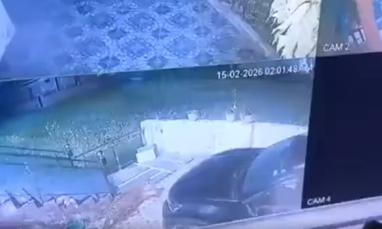 ऋषिकेश छिद्दरवाला में गुलदार की दहशत