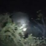 अपशिष्ट निस्तारण पर सवाल, खोई फेंकने से हाथी आबादी की ओर आकर्षित