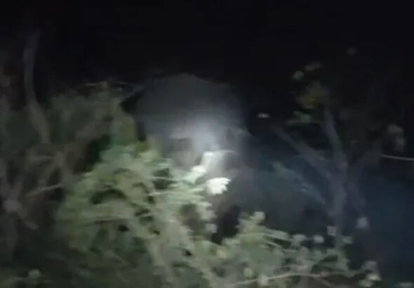 अपशिष्ट निस्तारण पर सवाल, खोई फेंकने से हाथी आबादी की ओर आकर्षित