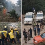 मनसा देवी पहाड़ी पर मॉक ड्रिल में आग | तीन लोग झुलसे, रेस्क्यू ऑपरेशन का पूरा विवरण