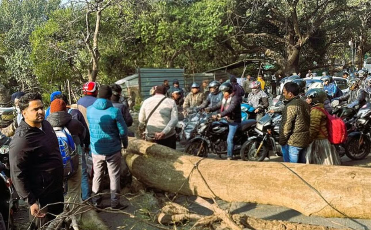 मसूरी, दून मार्ग, कुठालगेट, पेड़ गिरा, यातायात बाधित