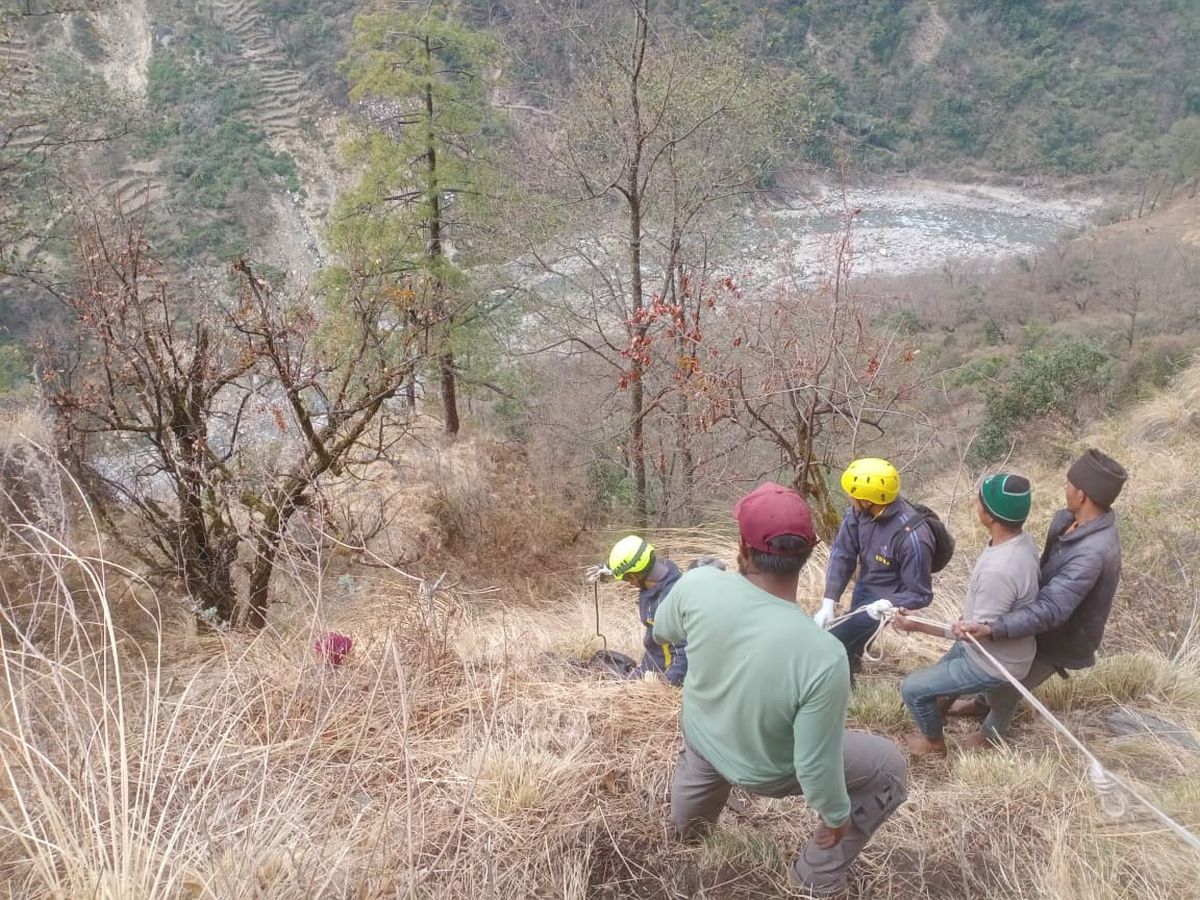 रुद्रप्रयाग में घास काटते समय हादसा, 40 वर्षीय महिला की जान गई