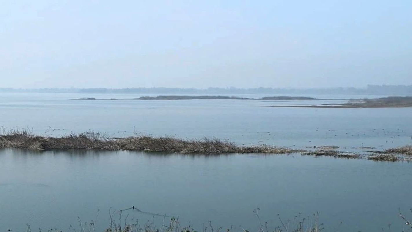 तुमड़िया डैम की सुरक्षा को लेकर अलर्ट मोड, 174 करोड़ की सुधार योजना अंतिम चरण में 1 तुमड़िया डैम की सुरक्षा पर बड़ा प्लान | 174 करोड़ की योजना